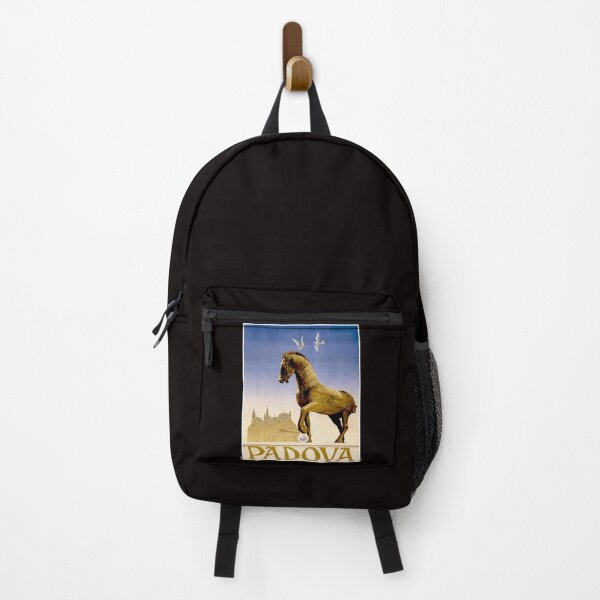 Item preview, PADOVA ITALY : Vintage Travel and Tourism Print designed and sold by posterbobs.