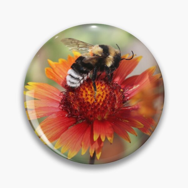 Item preview, Bumblebee On Blanket Flower designed and sold by SweepingShadows.