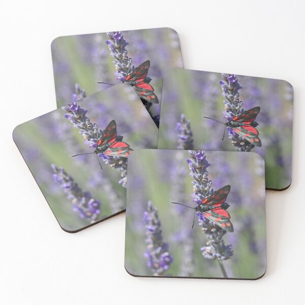 Item preview, Six-spot Burnet Moth designed and sold by SweepingShadows.