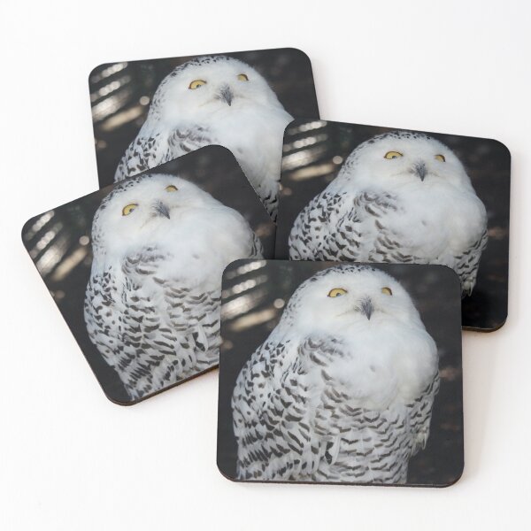 Item preview, Buho Nevado designed and sold by SweepingShadows.