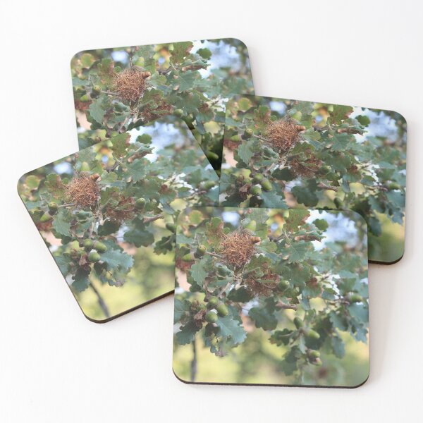 Item preview, Oak Tree Acorns designed and sold by SweepingShadows.