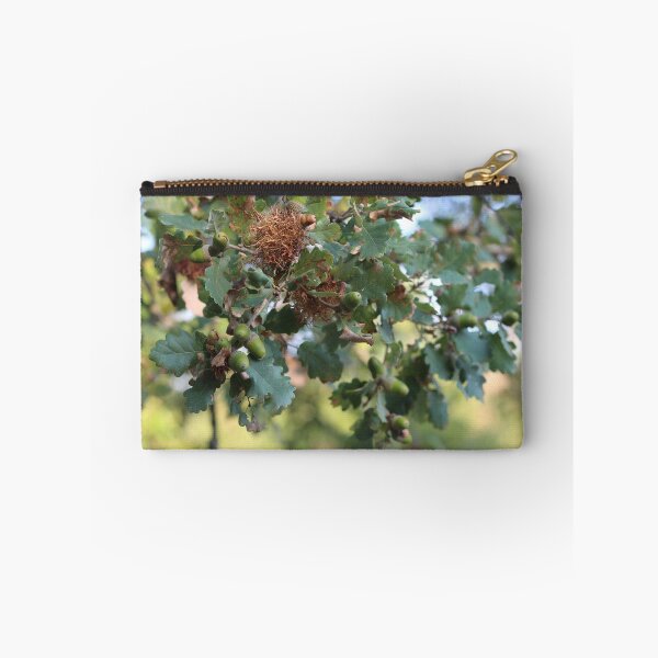 Item preview, Oak Tree Acorns designed and sold by SweepingShadows.