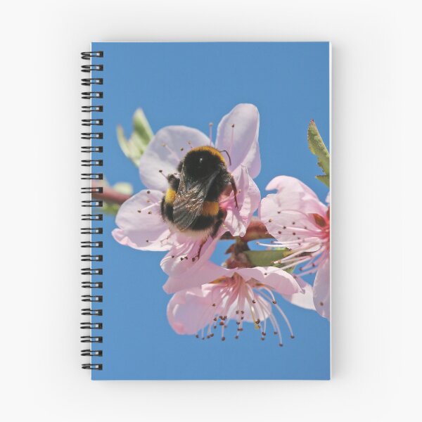 Item preview, Abejorro en flor de durazno designed and sold by SweepingShadows.
