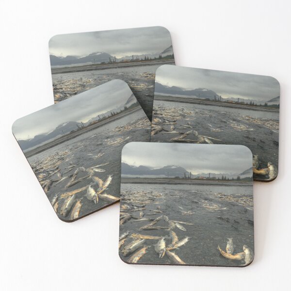Item preview, Salmon run designed and sold by zumi.
