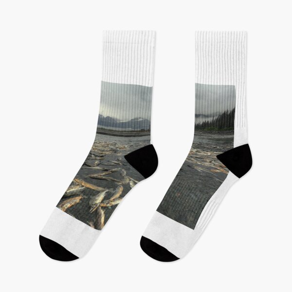 Item preview, Salmon run designed and sold by zumi.