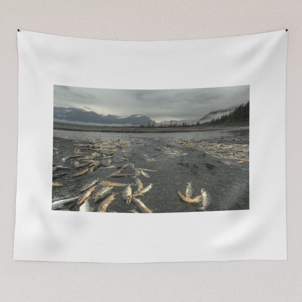 Item preview, Salmon run designed and sold by zumi.