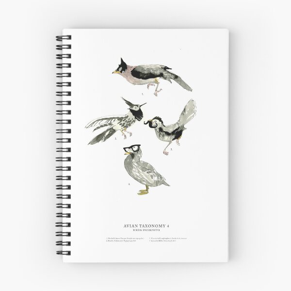 Item preview, Unlikely Avian Taxonomy 4: Birds Incognito designed and sold by Zoe Sadokierski.