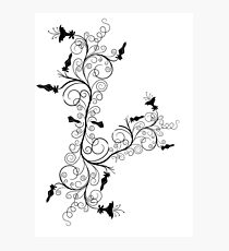 k1 Photographic Print