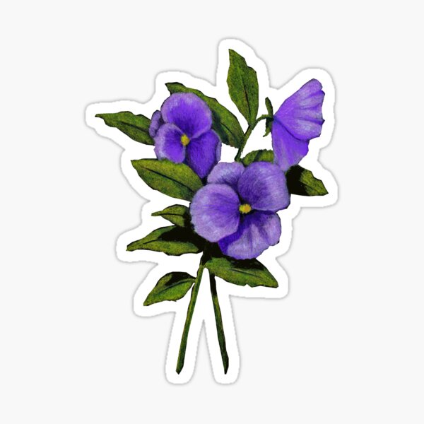 Item preview, Purple Pansies: Original Colour Pencil Drawing, Flowers designed and sold by JoyfulWhimsy.