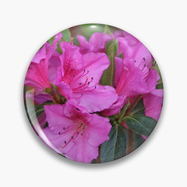 Item preview, Hot Pink Rhododendron designed and sold by SweepingShadows.