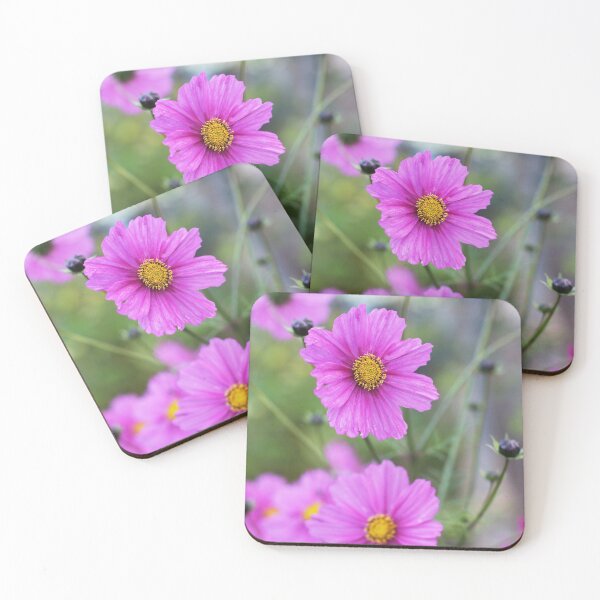 Artikelvorschau, Pink Kosmos Blume entworfen und verkauft von SweepingShadows.