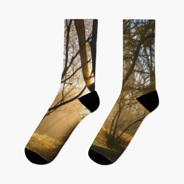 Item preview, Sunrise in the forest designed and sold by qlajt.