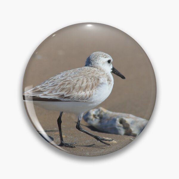 Item preview, Shore bird designed and sold by zumi.