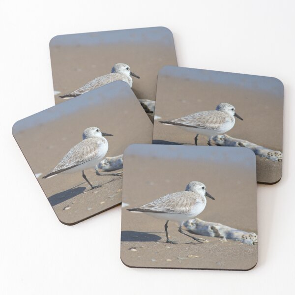 Item preview, Shore bird designed and sold by zumi.