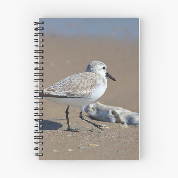 Item preview, Shore bird designed and sold by zumi.