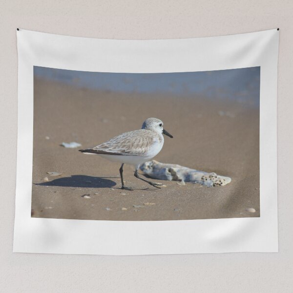 Item preview, Shore bird designed and sold by zumi.
