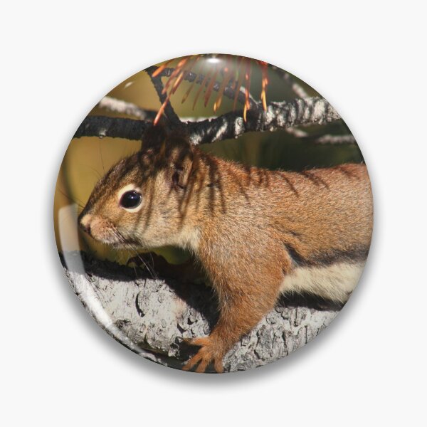Item preview, Tree hugging squirrel    designed and sold by zumi.