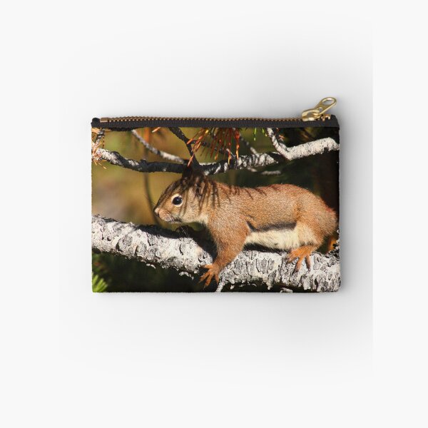 Item preview, Tree hugging squirrel    designed and sold by zumi.