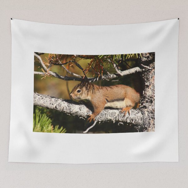 Item preview, Tree hugging squirrel    designed and sold by zumi.