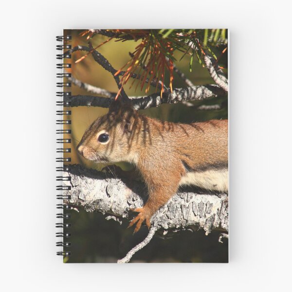 Item preview, Tree hugging squirrel    designed and sold by zumi.