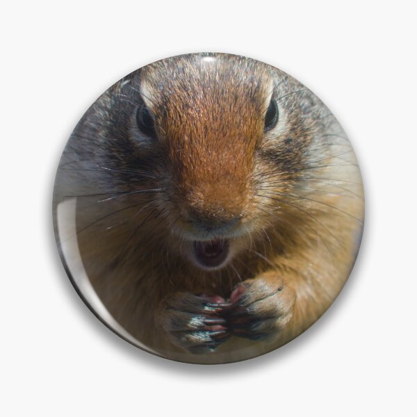 Item preview, Ground squirrel designed and sold by zumi.