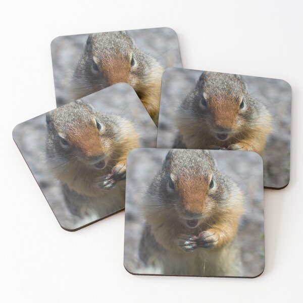 Item preview, Ground squirrel designed and sold by zumi.