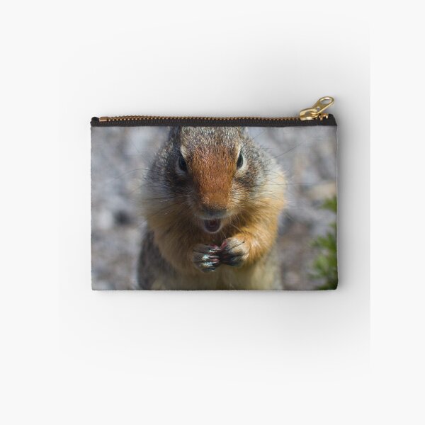 Item preview, Ground squirrel designed and sold by zumi.