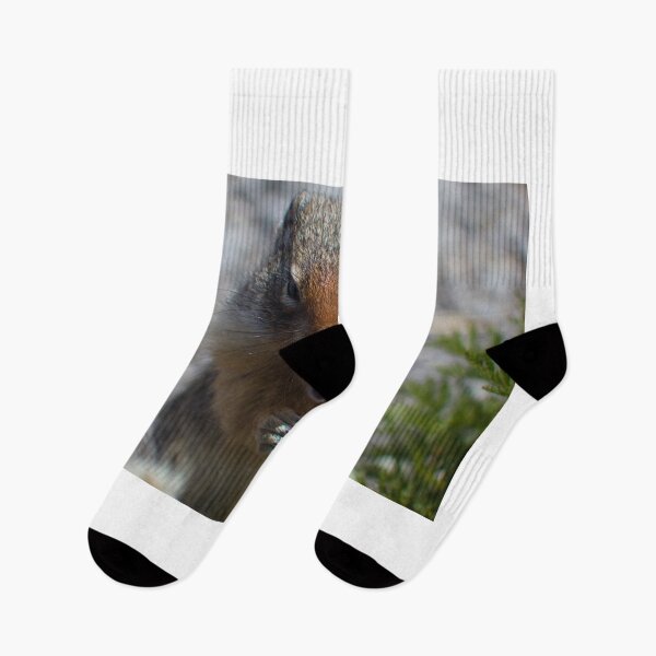 Item preview, Ground squirrel designed and sold by zumi.