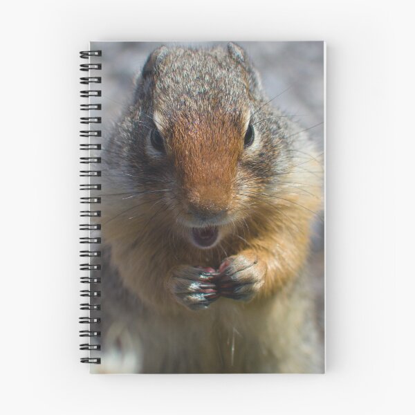 Item preview, Ground squirrel designed and sold by zumi.