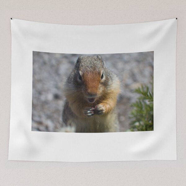 Item preview, Ground squirrel designed and sold by zumi.