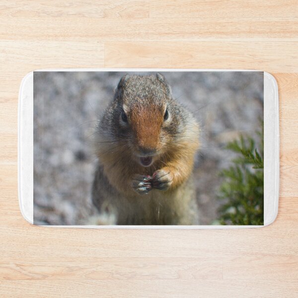Item preview, Ground squirrel designed and sold by zumi.
