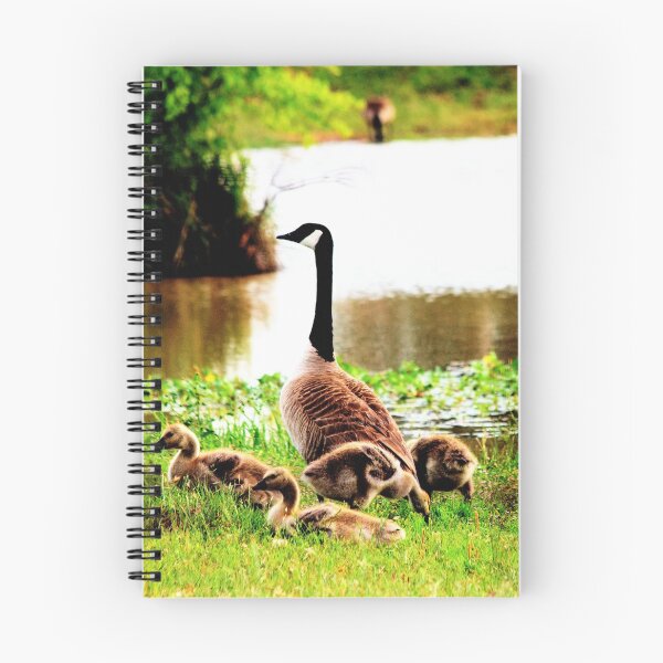 Item preview, Canada Goose and Goslings designed and sold by Lorri Crossno Nevil.