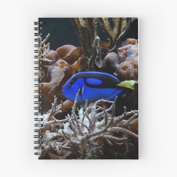 Item preview, Blue Tang Fish designed and sold by midsama.