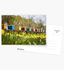 Bee hives in the field and orchard Postcards