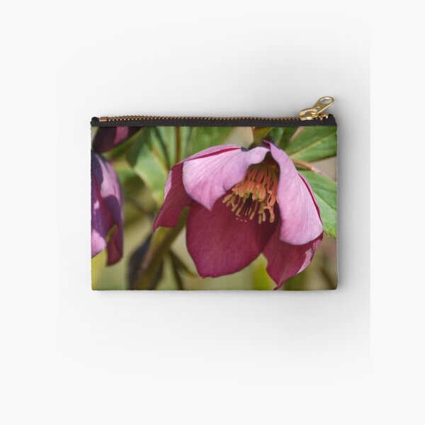 Item preview, Hellebore designed and sold by kkmarais.