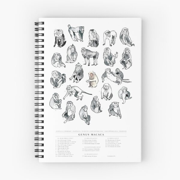 Item preview, Genus Macaca designed and sold by Zoe Sadokierski.