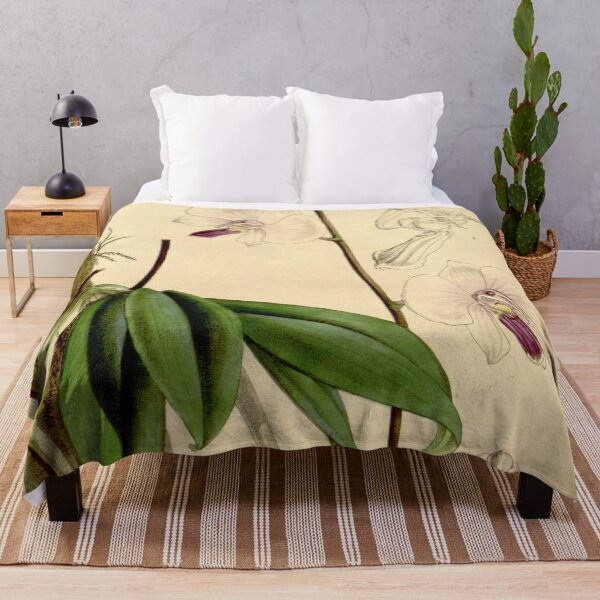 Item preview, Phalaenopsis lowii designed and sold by EsotericBotanic.
