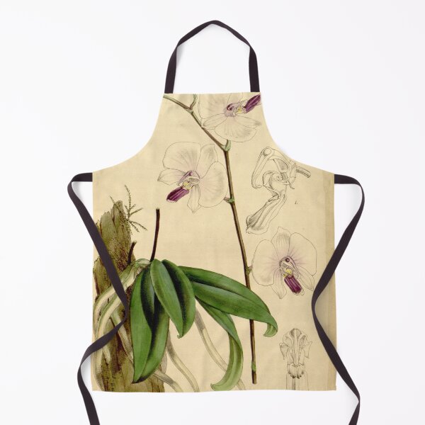 Item preview, Phalaenopsis lowii designed and sold by EsotericBotanic.