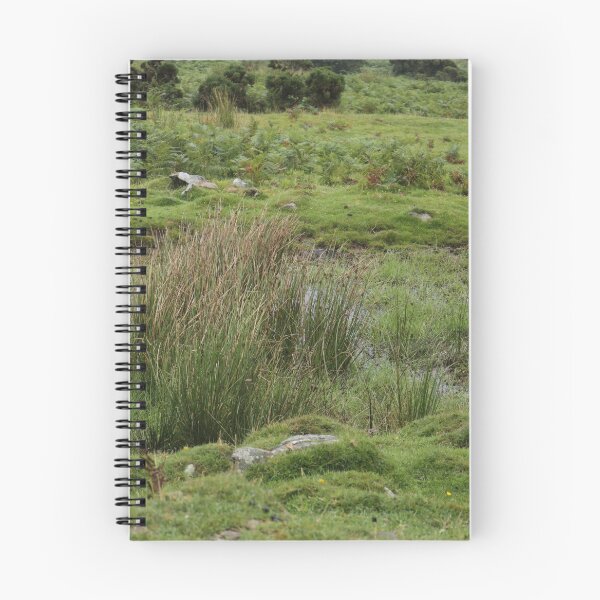 Item preview, Hidden Pool designed and sold by Michaela Perryman.