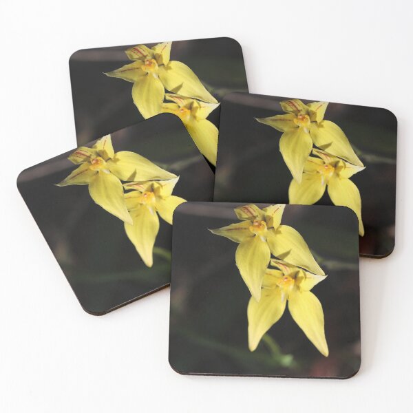Item preview, Cowslip Orchid Pair designed and sold by Michaela Perryman.