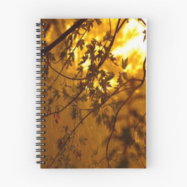 Item preview, Sun on the Tree designed and sold by qlajt.