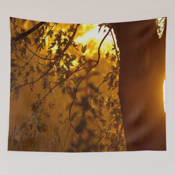 Item preview, Sun on the Tree designed and sold by qlajt.