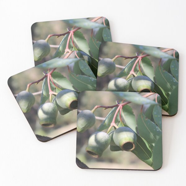 Item preview, Three Eucalyptus Pods designed and sold by Michaela Perryman.