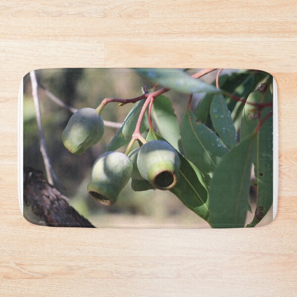 Item preview, Three Eucalyptus Pods designed and sold by Michaela Perryman.