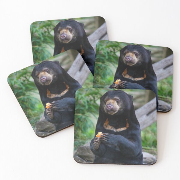 Item preview, Malayan Sun Bear Contemplating designed and sold by TVD-Photography.