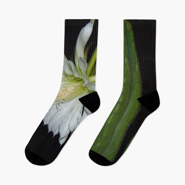 Item preview, Cactus of the Night - San Pedro in NZ designed and sold by Rachel Pile.