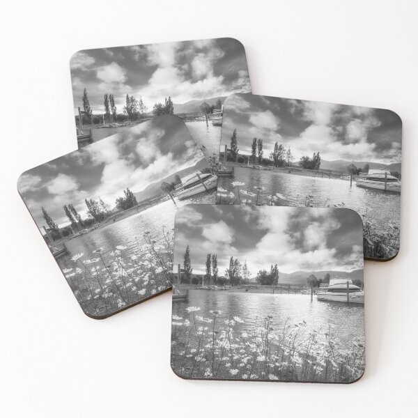 Item preview, Idyllic Landscape in black and white with daisies at Te Anau Marina, New Zealand designed and sold by Danielasphotos.
