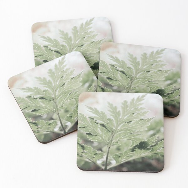 Item preview, Plantlife, ferns with plant veins designed and sold by Melissa Peltenburg.