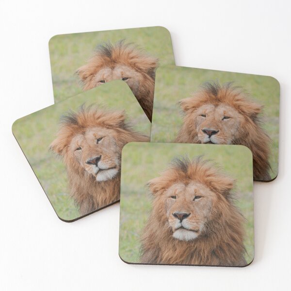 Item preview, Lion of Africa designed and sold by Design your dreams.