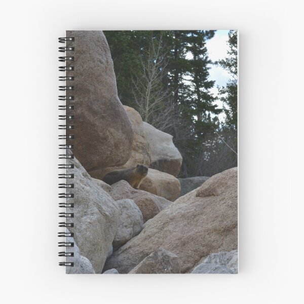 Item preview, Marmot face designed and sold by Amanda Huggins.